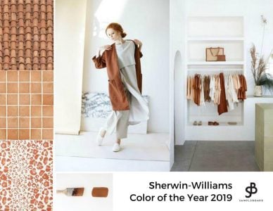 Color of the Year Evolution / Trend Analysis Sherwin-Williams Cavern Clay
